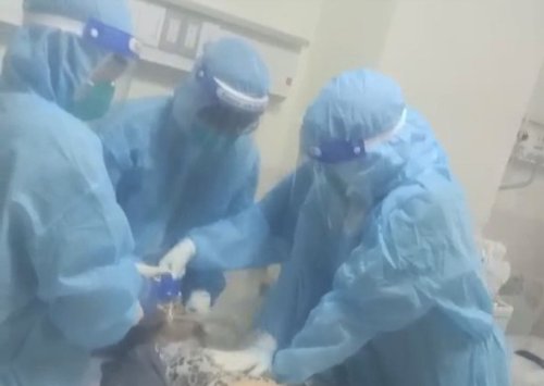 Thanh H&oacute;a hỗ trợ TP HCM 2.jpg